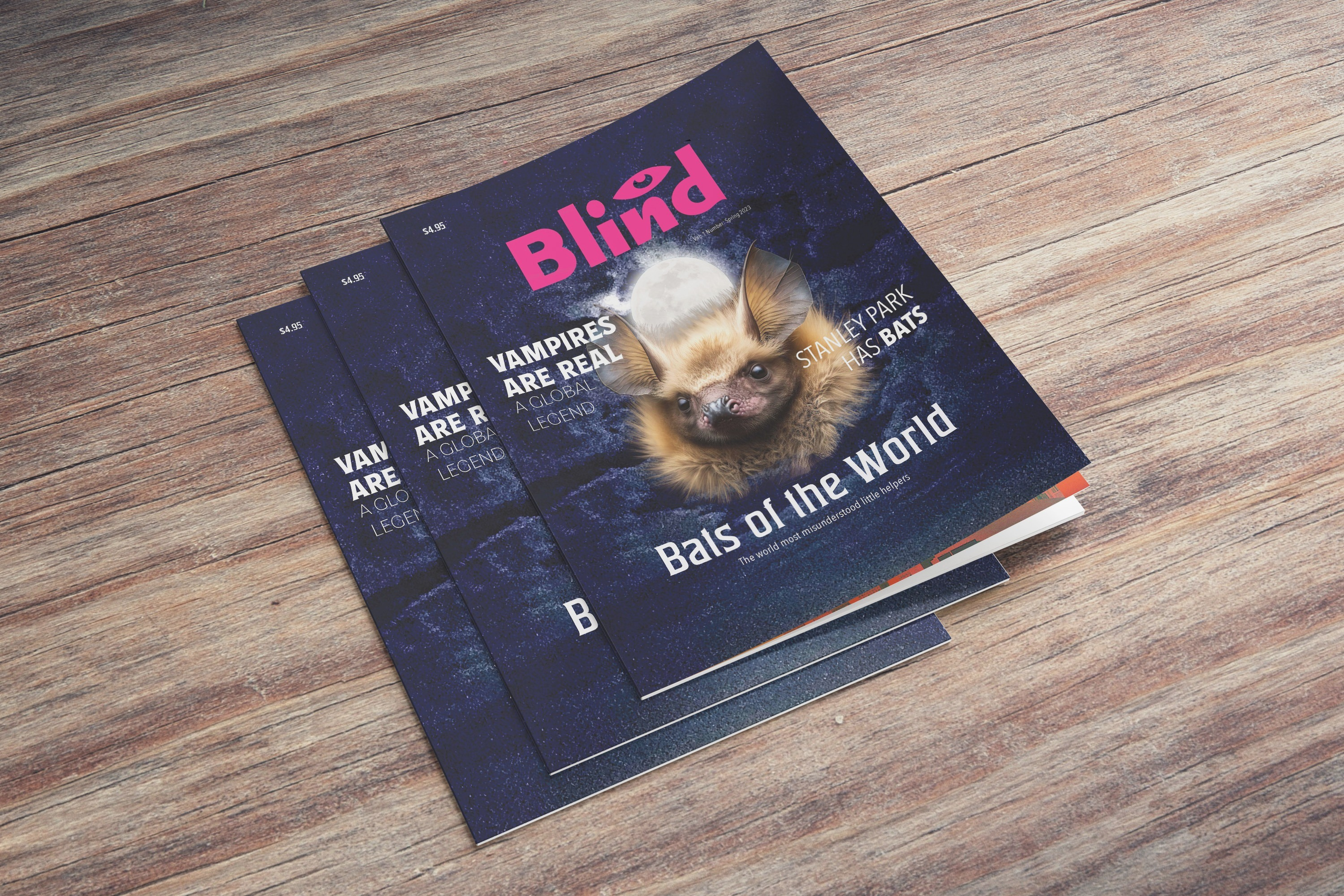 Blind Magazine mock spread