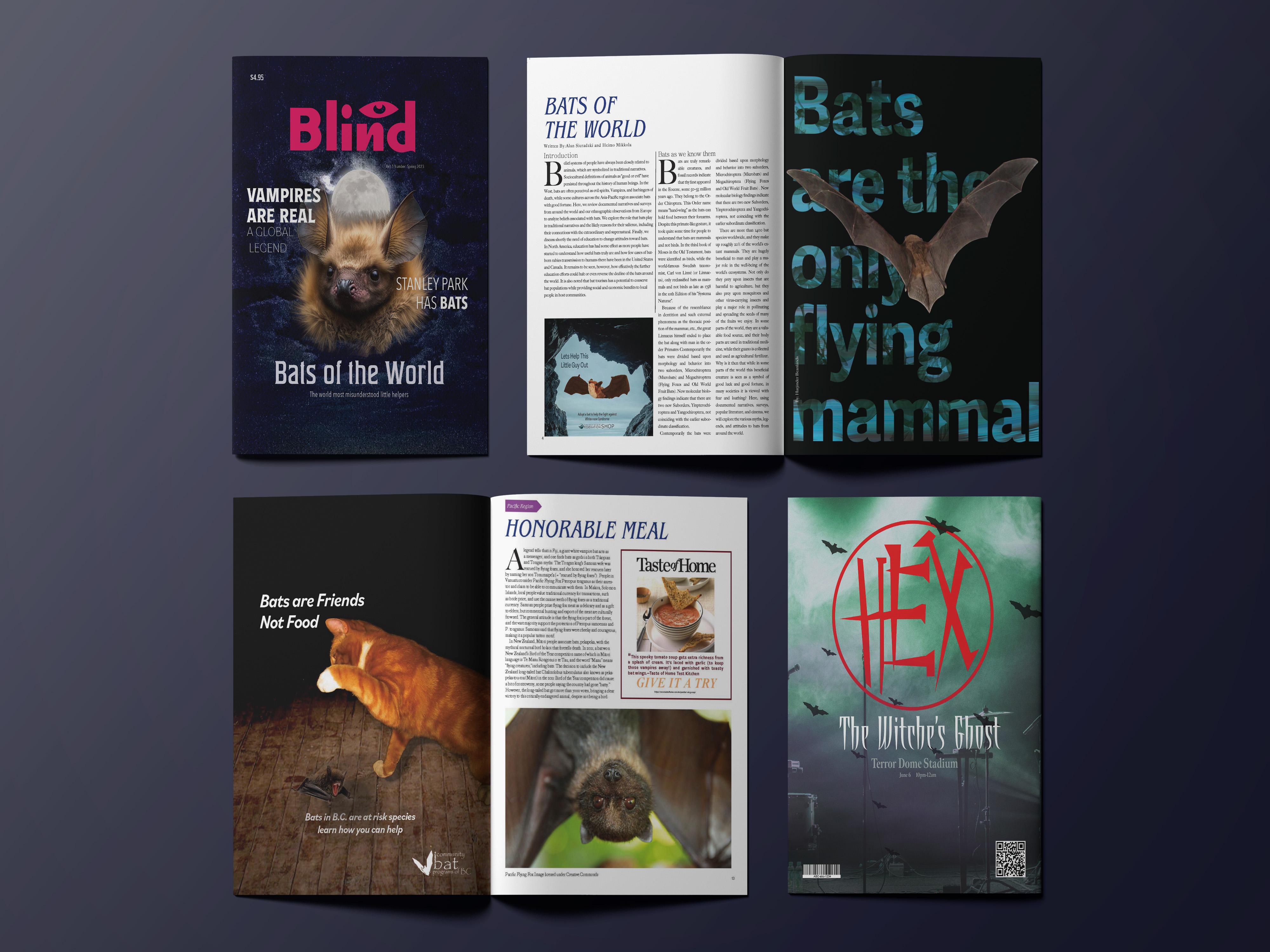 Blind Magazine layout design
